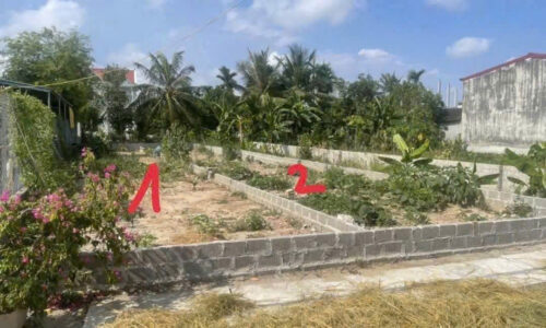 Lô đất MẶT ĐƯỜNG thôn Lão Phú _ TÂN PHONG _ Kiến Thụy