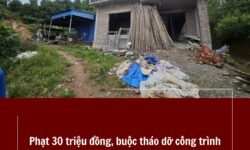 Phạt 30 triệu đồng buộc tháo dỡ công trình trái phép trên đất lâm nghiệp Hải Phòng