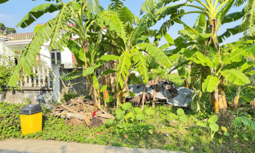 Bán Đất 138m² Đường Thông 6M Cốc Liễn Minh Tân