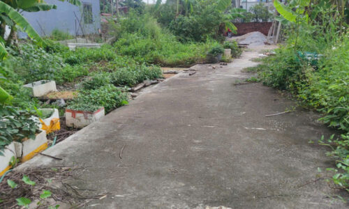 LÔ ĐẤT ĐẸP KHÔNG QUY HOẠCH TẠI HOÀ NGHĨA – CHỈ 8XX TRIỆU