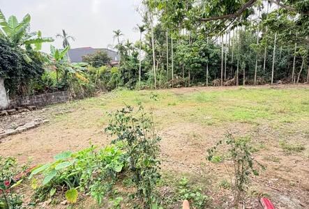 LÔ ĐẤT F0 – GIÁ MỀM CHO NHÀ ĐẦU TƯ