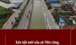 Sức bật mới của xã Tiên Lãng Hải Phòng