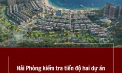 Hải Phòng Kiểm Tra Tiến Độ Hai dự án đầu tư Khu đô thị du lịch Cái Giá (Cát Bà Amatina) và dự án Khu du lịch, dịch vụ thương mại Vịnh Trung tâm Cát Bà (Xanh Island Cát Bà)