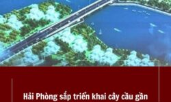 Hải Phòng sắp triển khai cây cầu gần 300m bắc qua sông Đa Độ