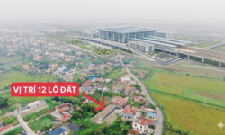 G7 Land Mở Bán 12 Lô Đất Phân Lô Thấp Linh Minh Tân Ngay Cạnh Ga Nam Hải Phòng