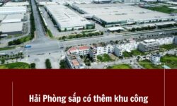 Hải Phòng sắp có thêm khu công nghiệp Khu Trấn Dương Hòa Bình rộng hơn 200 ha