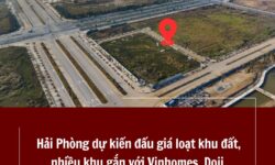 Hải Phòng dự kiến đấu giá loạt khu đất, nhiều khu gắn với Vinhomes Doji Viglacera Vinafood