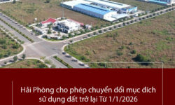 Hải Phòng cho phép chuyển đổi mục đích sử dụng đất trở lại Từ 1/1/2026