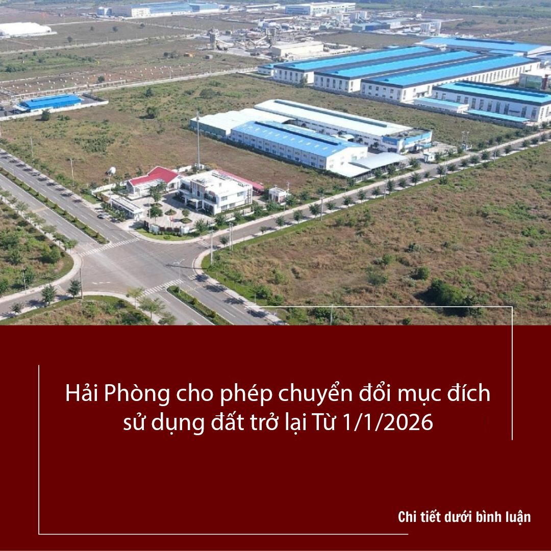 Hải Phòng cho phép chuyển đổi mục đích sử dụng đất trở lại Từ 1/1/2026