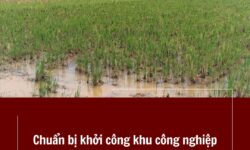 Chuẩn bị khởi công khu công nghiệp Vinh Quang rộng hơn 164 ha