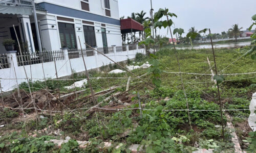 SIÊU PHẨM ĐẤT VIEW SÔNG ĐA ĐỘ GIÁ ĐẦU TƯ 19 triệu/m²