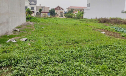 ĐẤT ĐẤU GIÁ VƯỜN CAM THANH SƠN LÔ ĐẸP GIÁ TỐT 20,5 triệu/m²