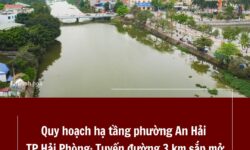 Quy hoạch hạ tầng phường An Hải TP Hải Phòng Tuyến đường 3 km sắp mở kết nối Sông Rế
