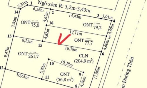ĐẤT TRUNG TÂM THÁI LAI KIẾN HẢI GIÁ CHỈ 1,45 TỶ