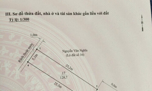 LÔ ĐẤU GIÁ VƯỜN CAM – KIẾN THỤY – SIÊU PHẨM DIỆN TÍCH LỚN