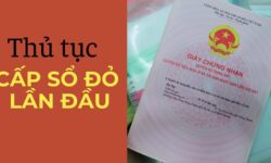 Cấp Sổ Đỏ Lần Đầu Được Tối Đa Bao Nhiêu M2 Ở Kiến Thụy Hải Phòng