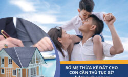 Hồ Sơ Và Trình Tự Thực Hiện Thủ Tục Thừa Kế Quyền Sử Dụng Đất