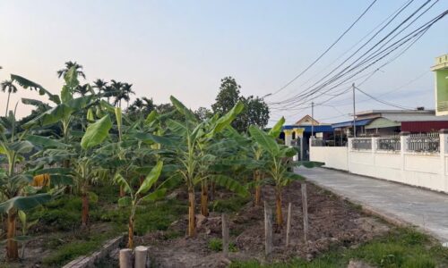 Bán mảnh đất 70m2 Hoà Nghĩa – Dương Kinh – Hải Phòng